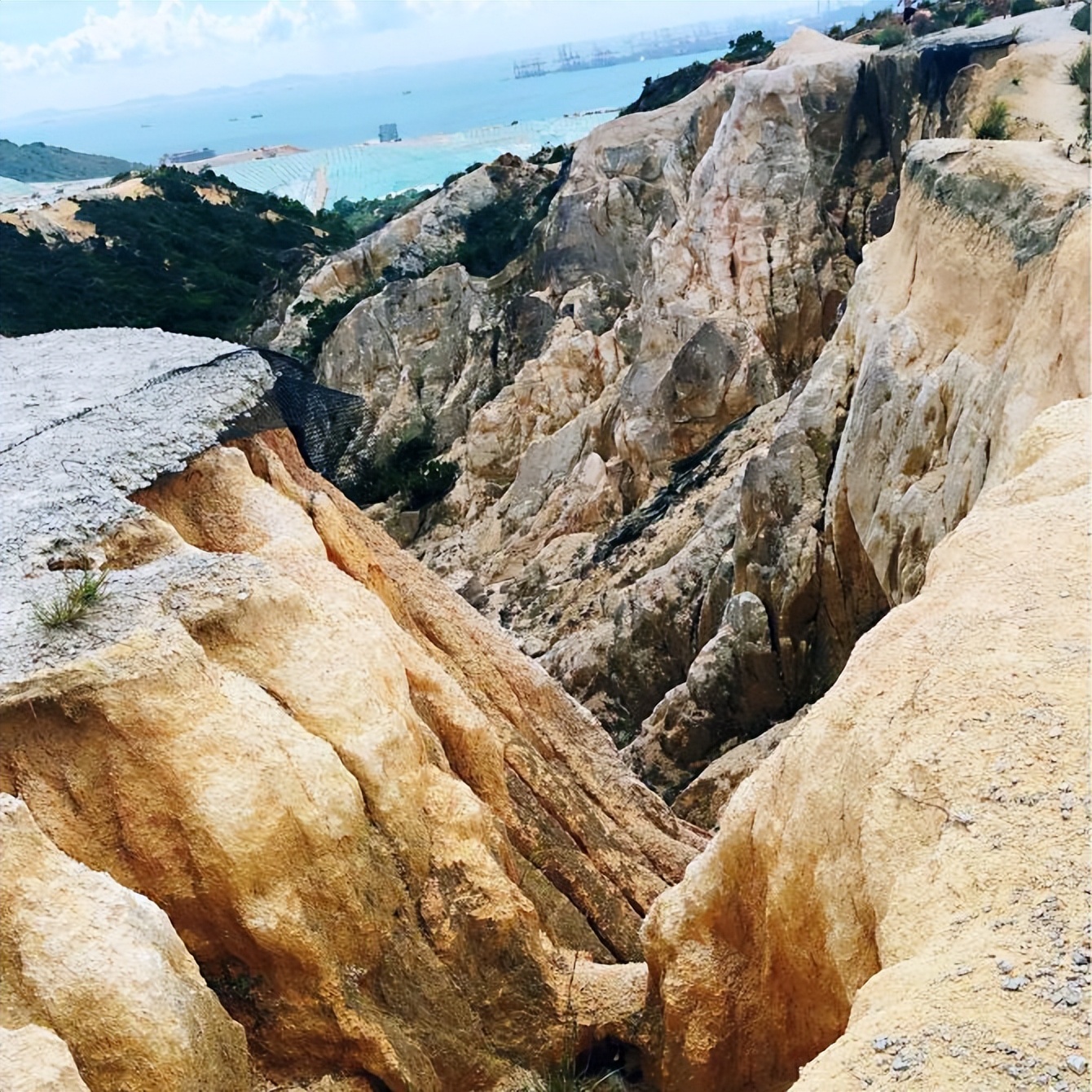 来香港必打卡的六个景点湾仔,香港小众打卡地