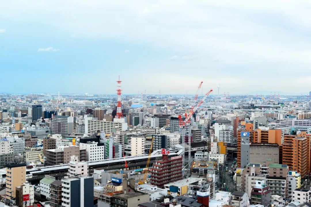 日本01年出生人口,日本01假面骑士