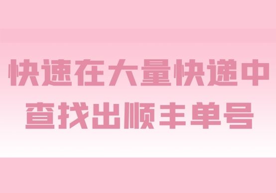 顺丰只有电话号码怎么查快递单号,如何快速查找多个快递单号