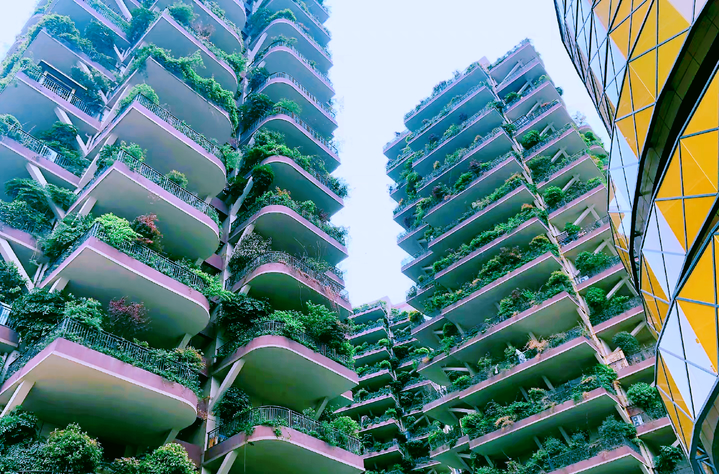 成都第四代住宅空中花园真实现状,成都最好的四代住宅