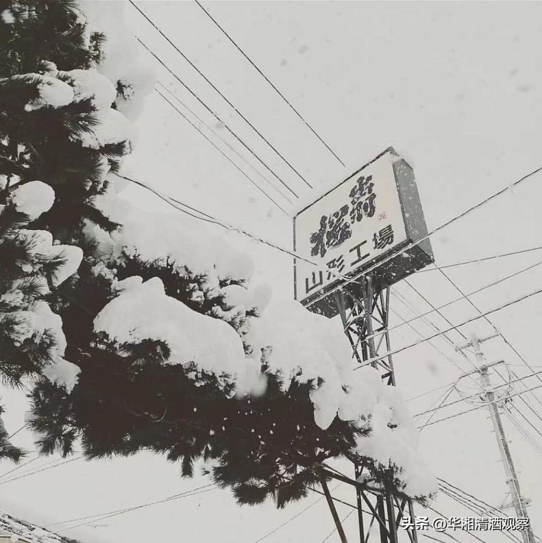 真正的山形地酒——出羽燦燦的诞生纪念