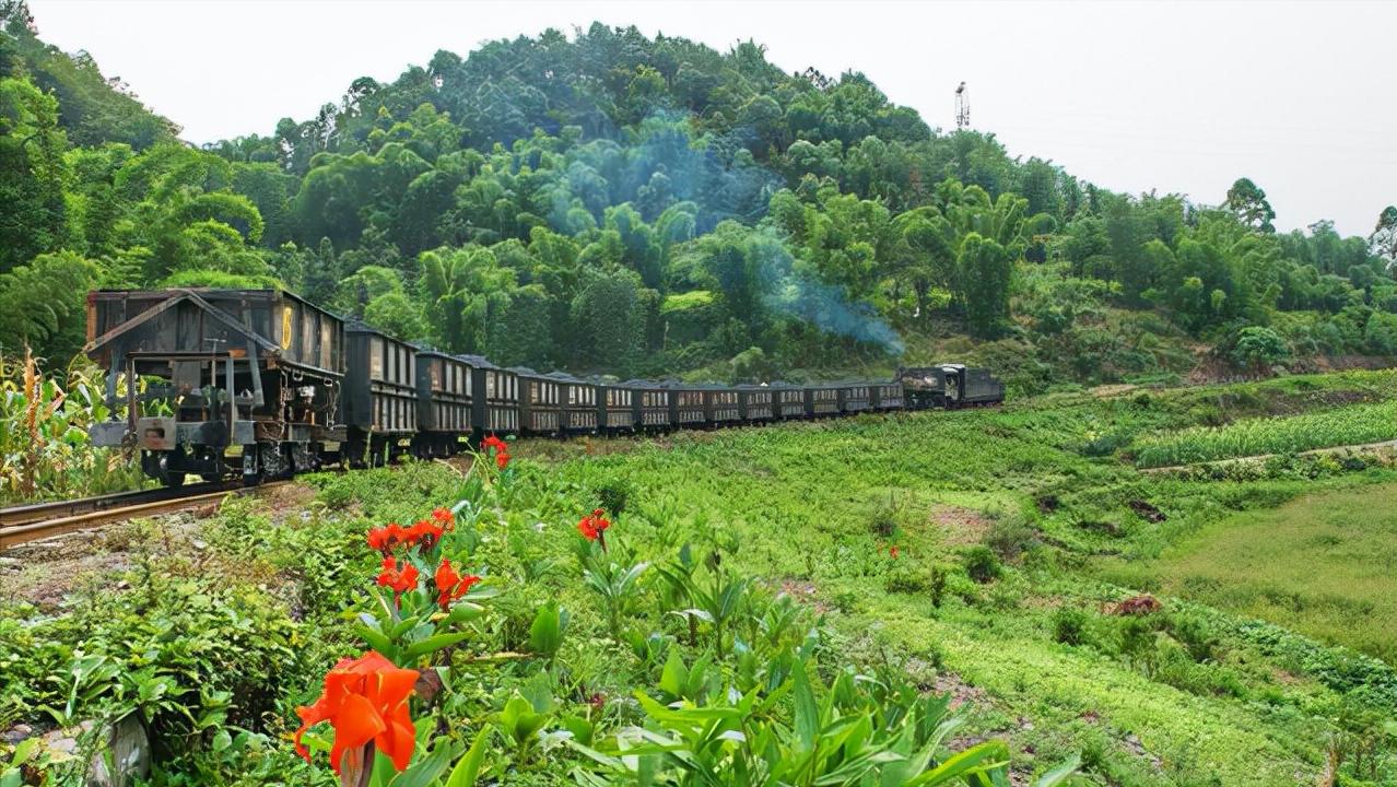 火车硬卧和硬座差别大吗,火车的硬卧和硬座什么区别