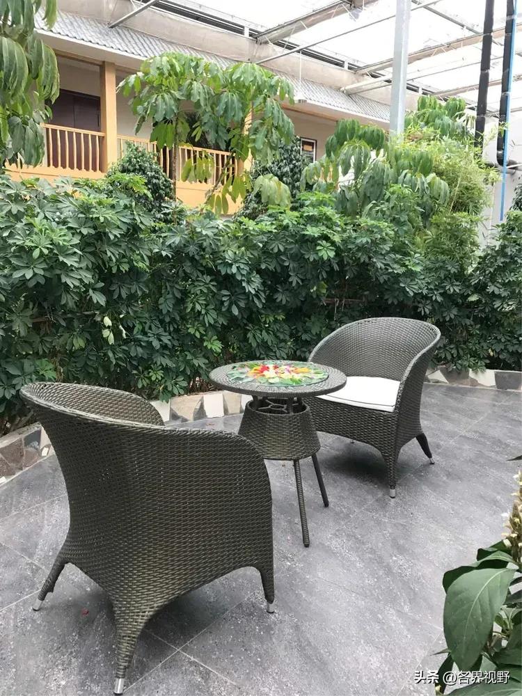 榆林生态旅游,榆林市牛家梁瑞丰生态园游泳池