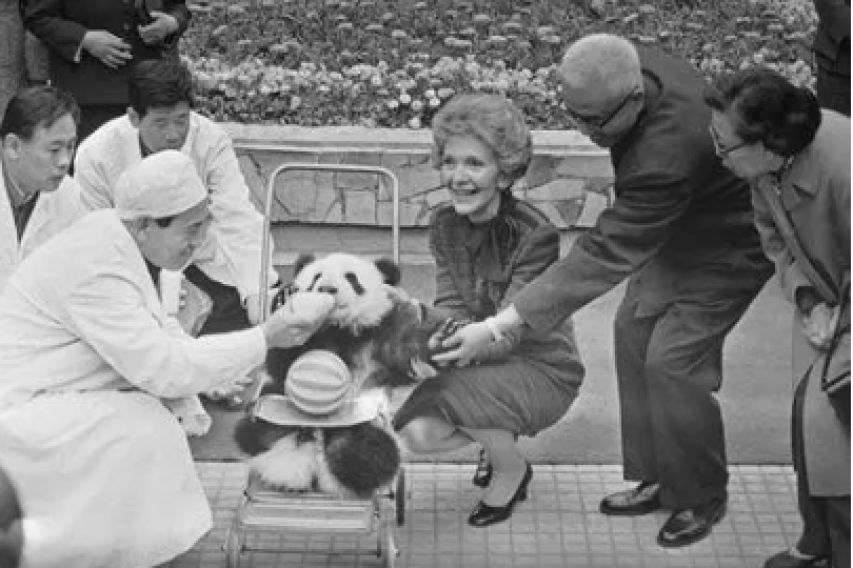 尼克松访华：假装讨要烟盒上的熊猫图案，周总理直接送出两只真的
