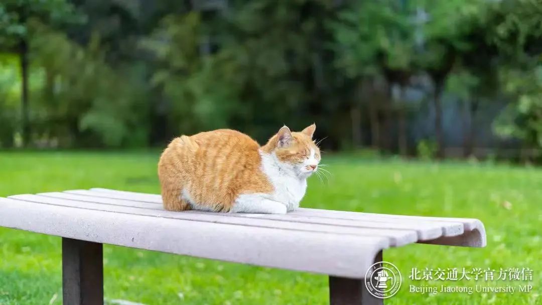 交大很拼暑期在校最全指南来了,上海交大医学院暑假安排