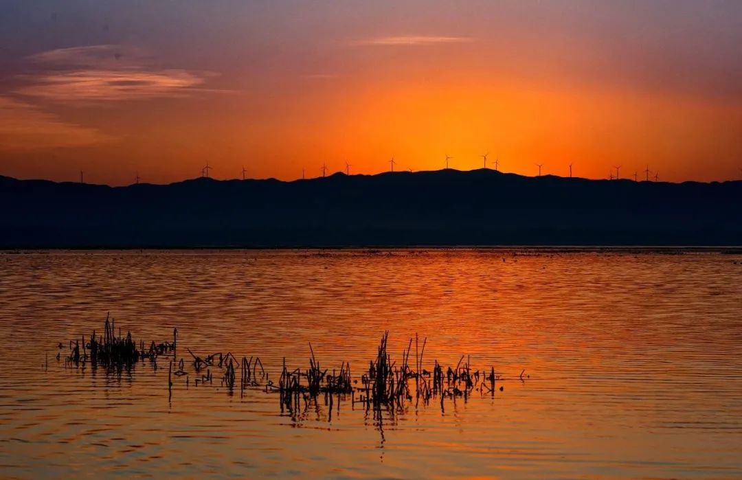 湛江菠萝海,湛江菠萝的海全景