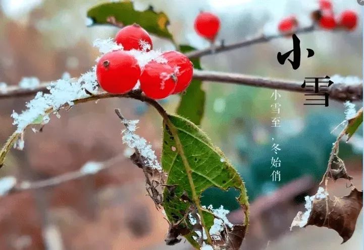 天欲雪能饮一杯无什么意思,晚来天欲雪能饮一杯无是小雪吗