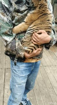 女生上学和出去玩的区别,女生在上课穿校服