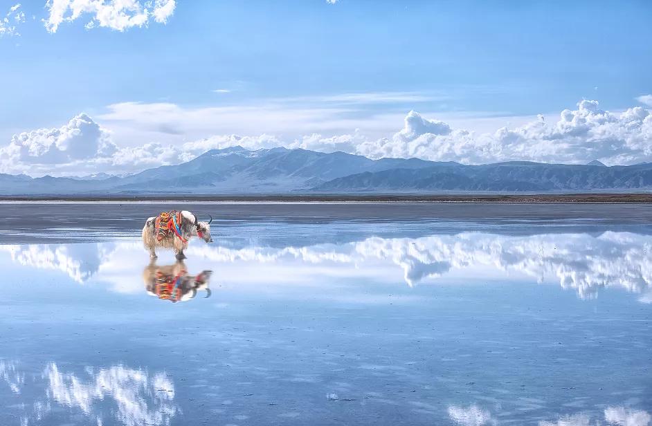 青海为啥成为核基地,青海怎么出圈