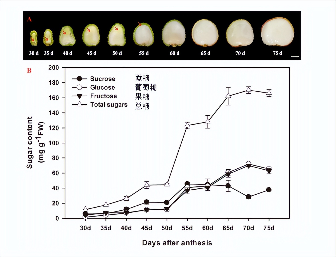 吃荔枝吃到一条虫进肚子会怎么样,吃荔枝吃出问题