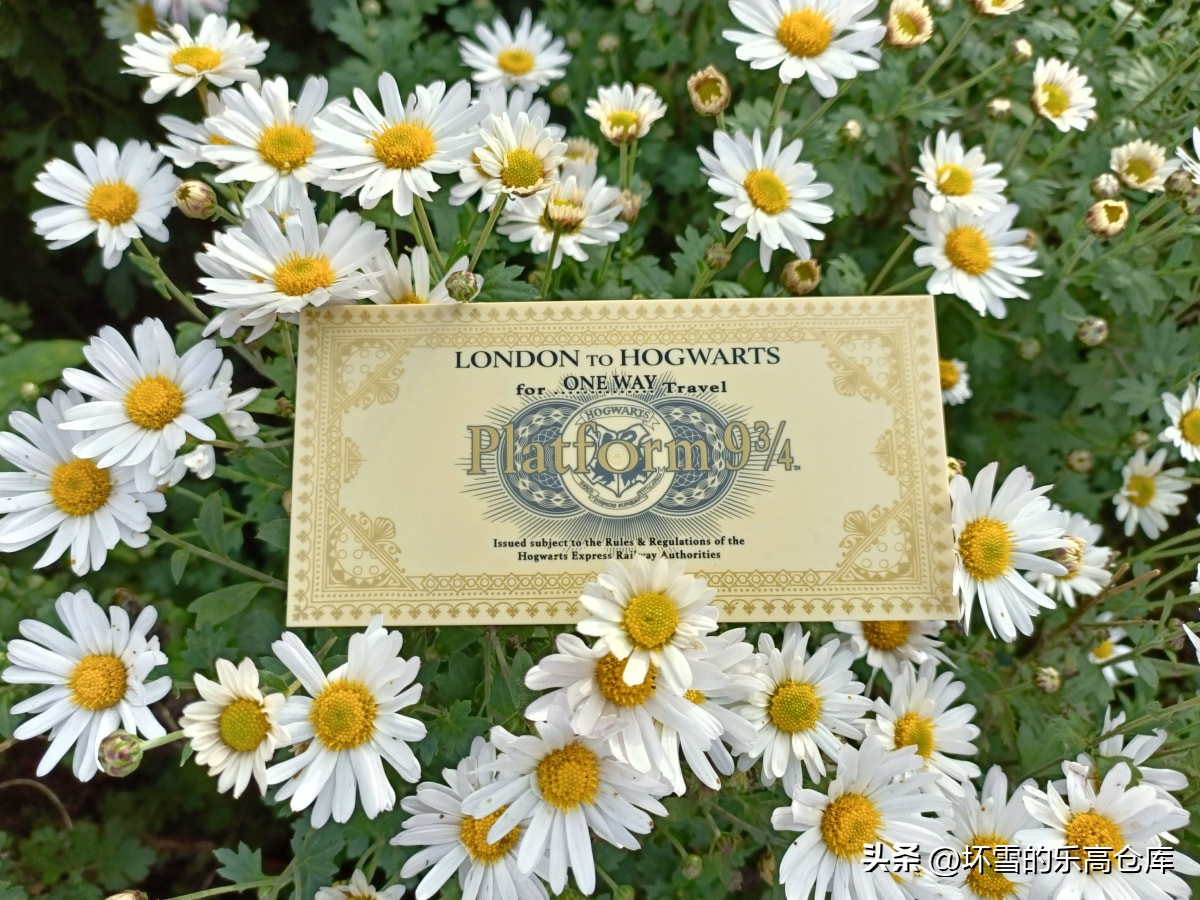 边看哈利波特，边拼乐高：爆肝试玩76405霍格沃茨特快