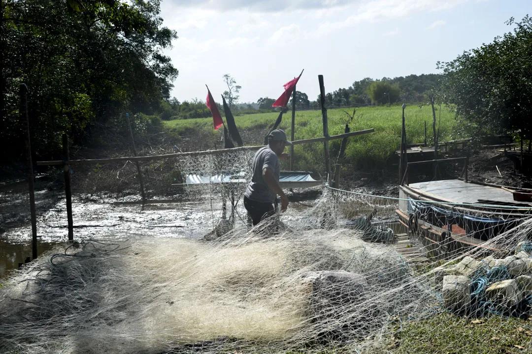 巴西这种鱼类衍生品分文不值，被中国炒到了1000一斤