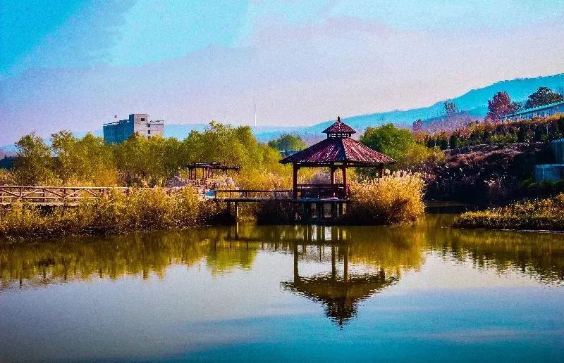 华山附近免费游玩,潼关有到华山的一日游吗