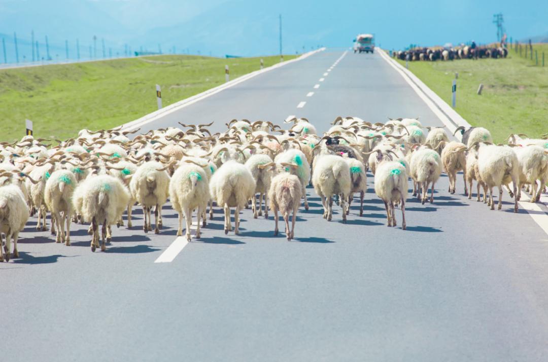8月中旬带孩子去甘肃,带孩子去敦煌7天