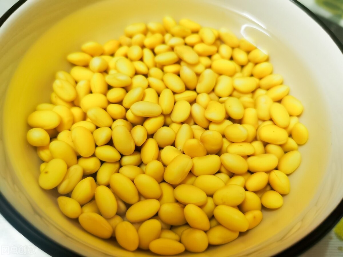 在家做豆腐脑100g黄豆配比,自制黄豆豆腐脑做法视频