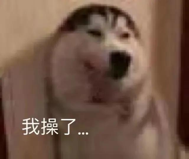 年轻人必备的朋友圈沙雕文案,适合发朋友圈的沙雕文案