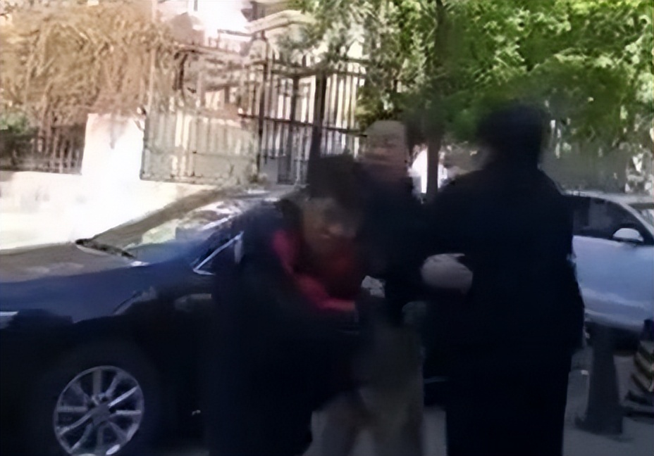 2016年顺丰小哥被打处理结果,顺丰小哥被打王卫出面后续