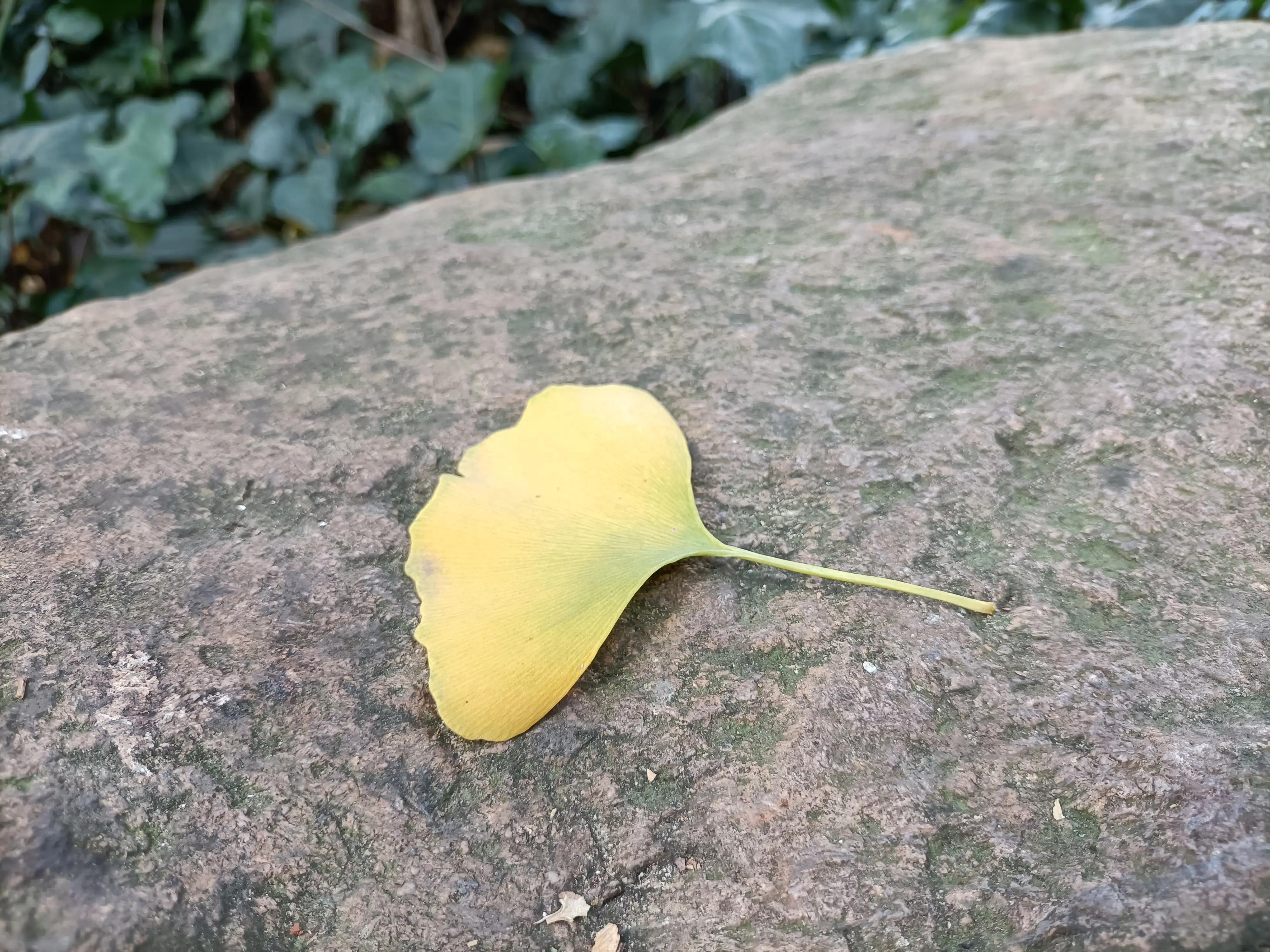 冬日的昆明美如春,这才是昆明四季如春的样子