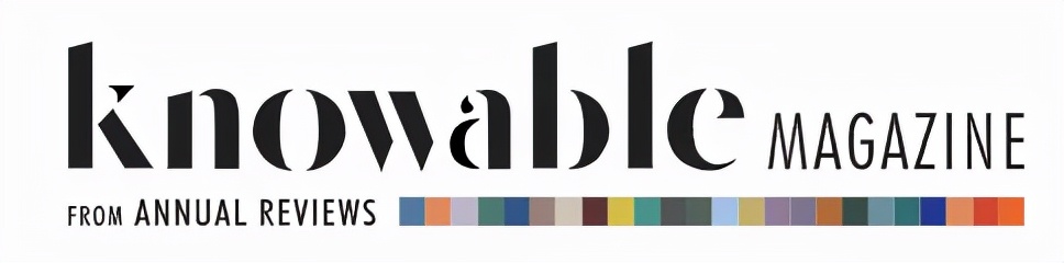 厌食、贪食、暴饮暴食，6亿人深受其扰该怎么办？