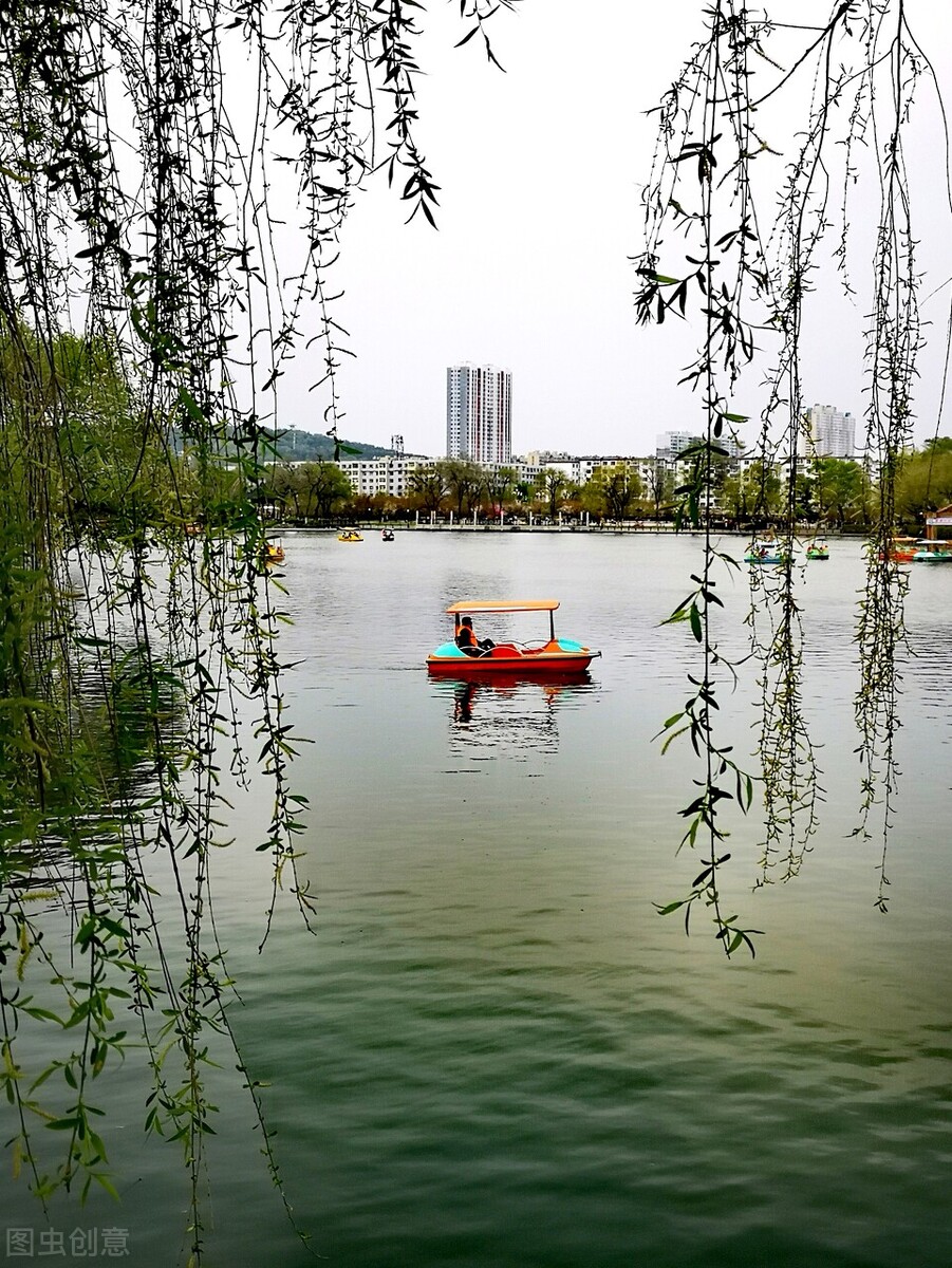 风吹杨柳万千条打一动物,风吹杨柳万千条解析