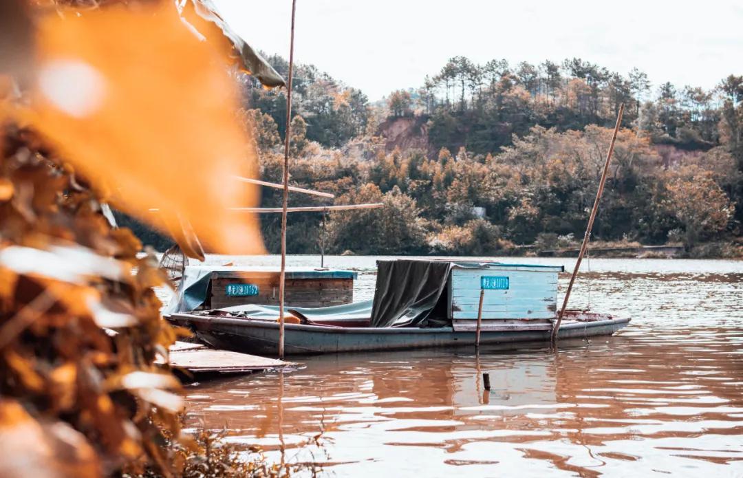 最后通高铁的城市！不是杭州却有“千岛湖”，真·美食宝藏小城