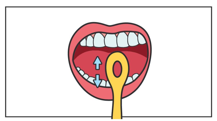 吃什么食物可以缓解口臭,糖尿病口臭吃什么食物能治口臭