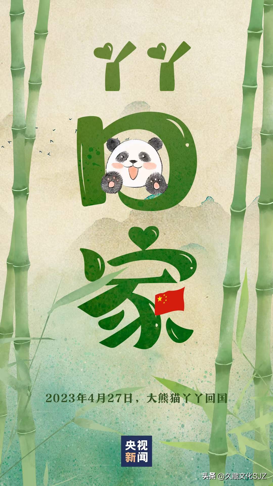 丫丫大熊猫图集,丫丫大熊猫回家视频