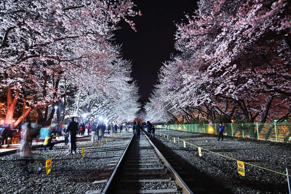 春天的遐想泰戈尔,春天的遐想纯音乐