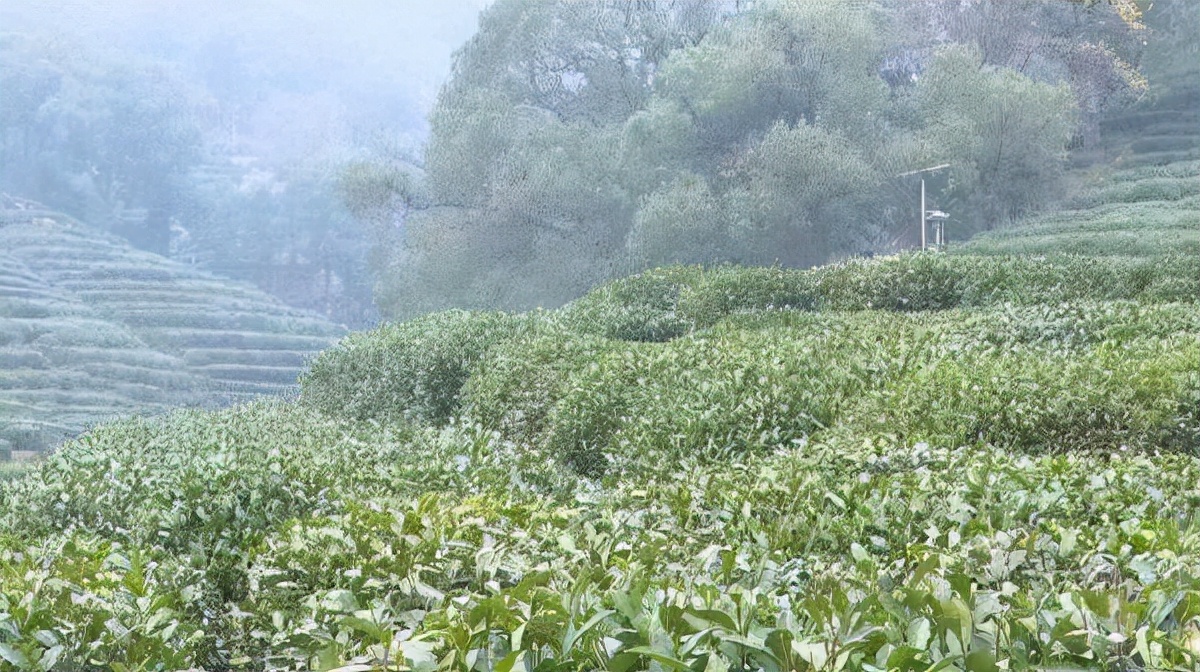 不止理发，龙抬头还有哪些「讲究和禁忌」