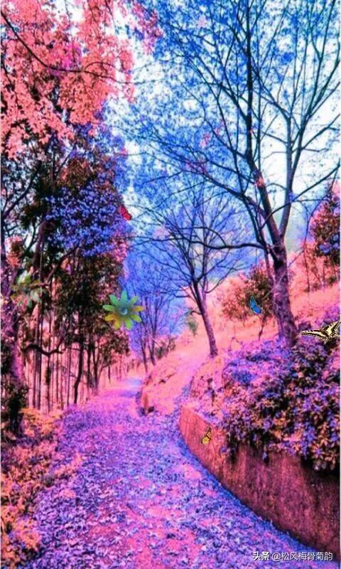 阳光染花颜，清露润芳心，倾情一绽为君开，只盼君再来