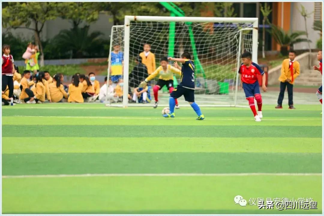 仪陇县新政小学足球联赛2023,仪陇县新政小学第九届足球比赛