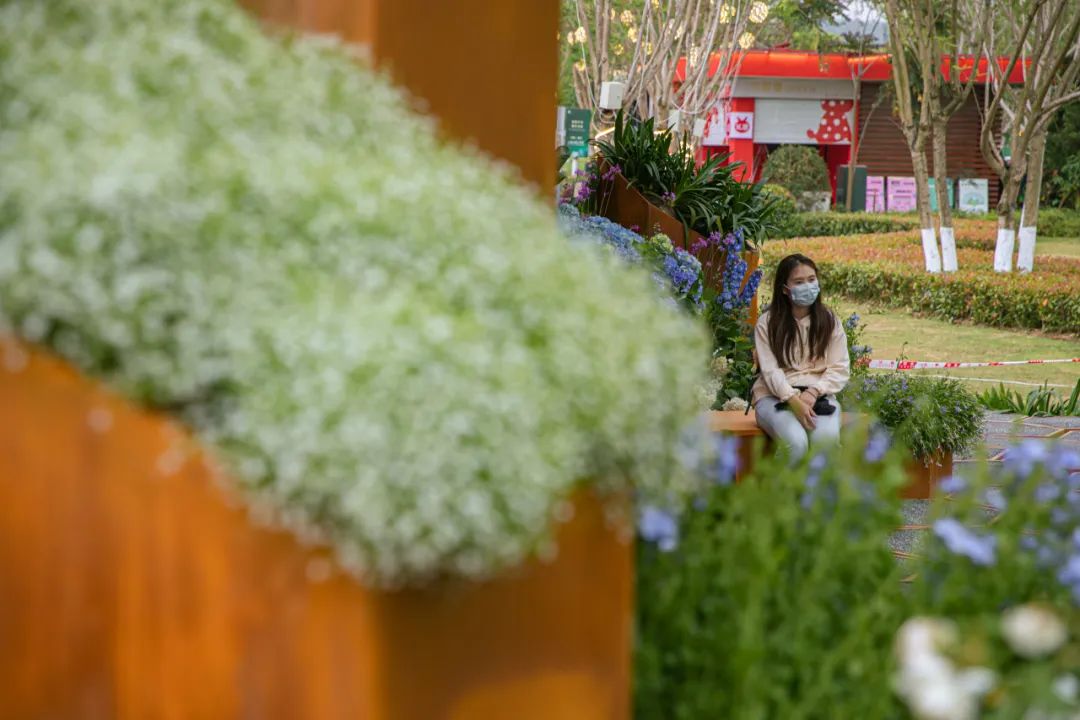 模块化设计作品,模块化设计和建造