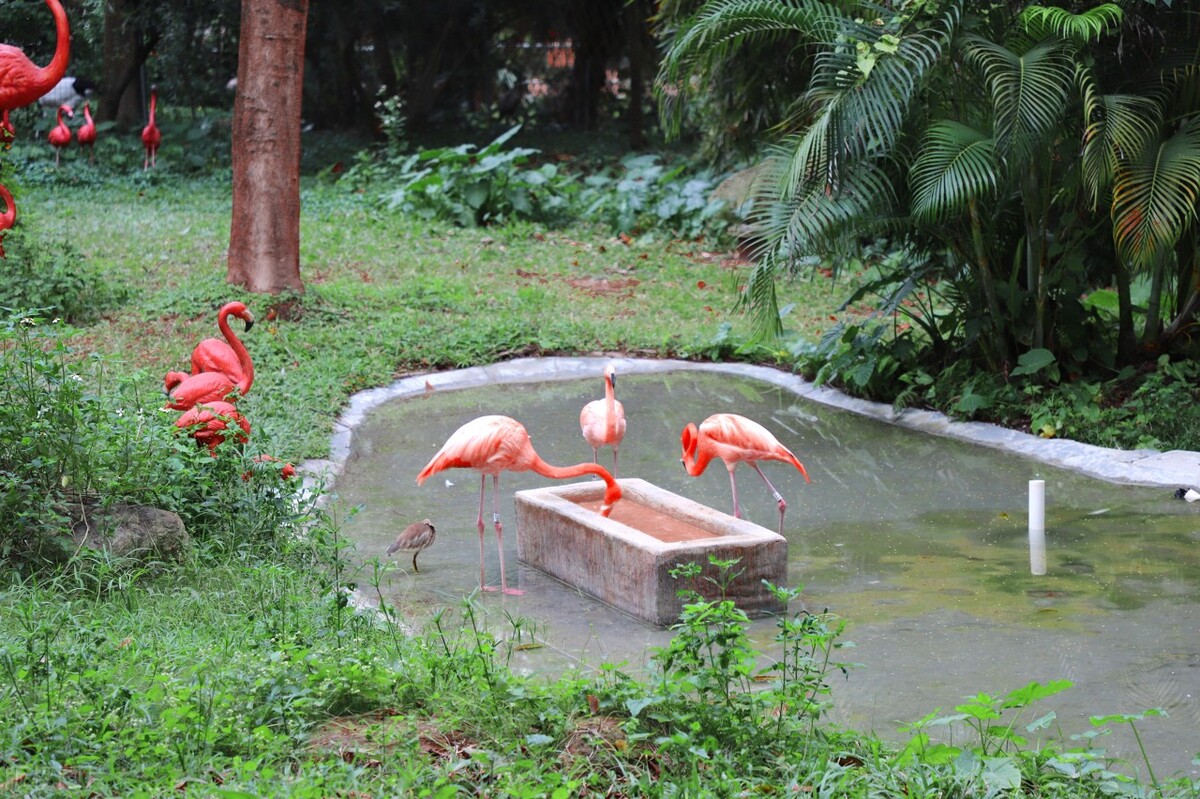 深圳周边温泉亲子游玩推荐,深圳元旦假期亲子游玩好去处