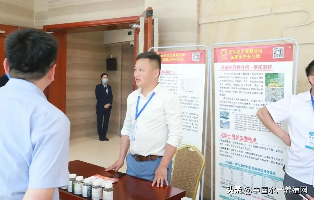 2023年南县小龙虾价格行情,南县小龙虾价格报价