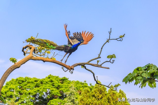 昆明著名景点的简笔画,昆明著名景点英语