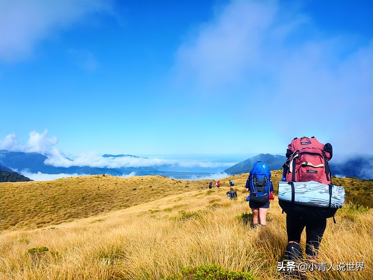 加拿大和新西兰相比谁更好,加拿大和新西兰留学哪个好