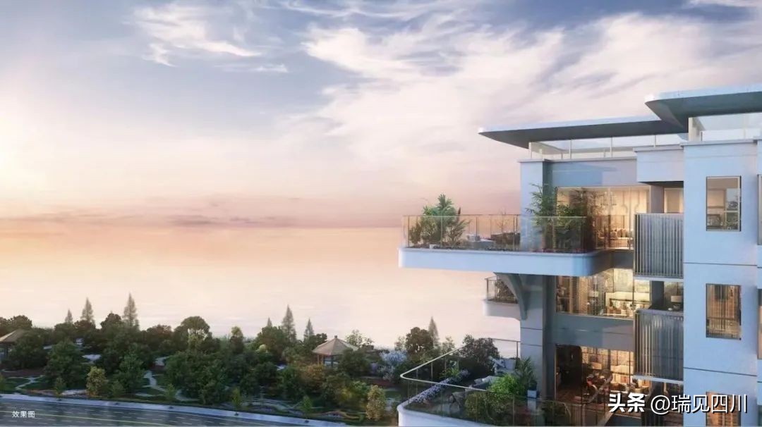 今年成都市场这些产品很能打！