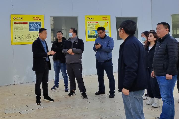 莲菜网菜品咋样,莲菜网菜品怎么样