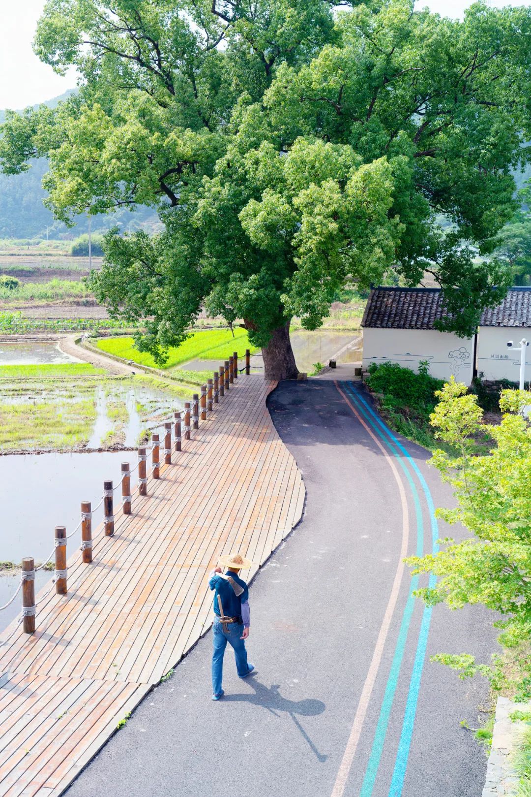 东海最后一处冷门小县城，藏了个海上仙子国，一口小海鲜封神
