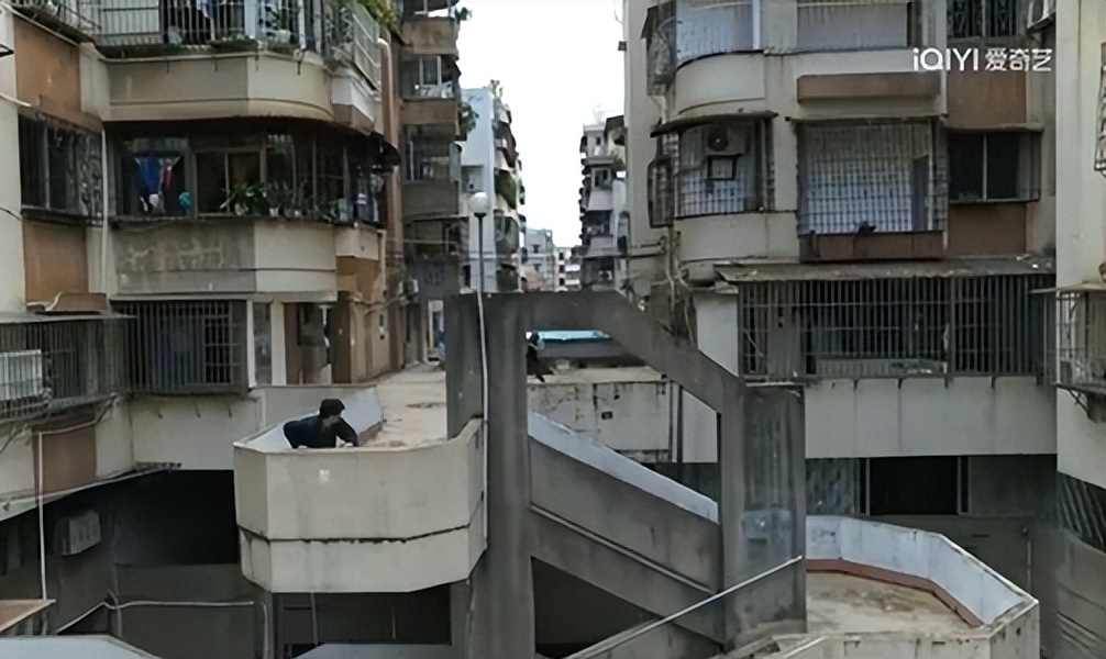 高启强,在“京海”卖鱼真的可以发家!