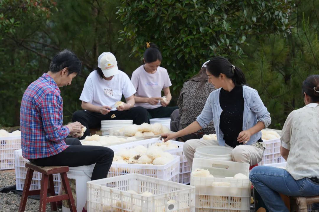 农村00后女孩为何被迫长大,农村00后女孩现状如何