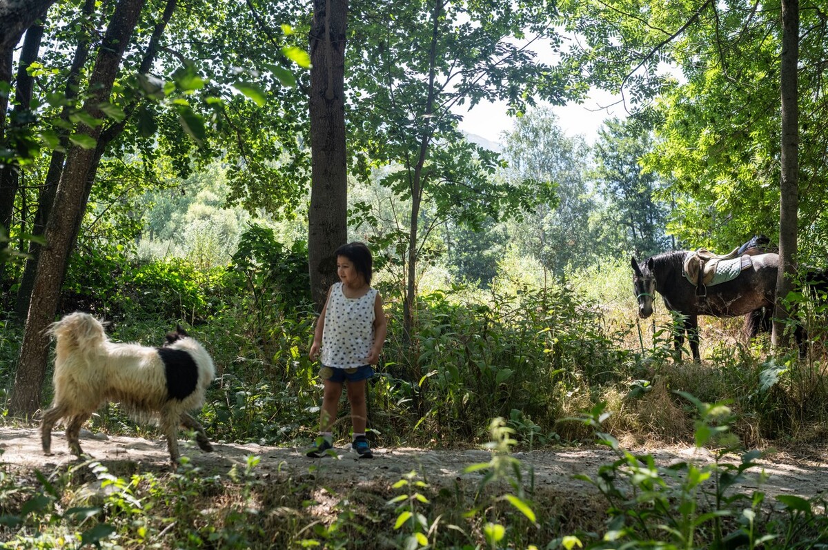有个妹妹的感慨,别人问有没有妹妹怎么有趣回答