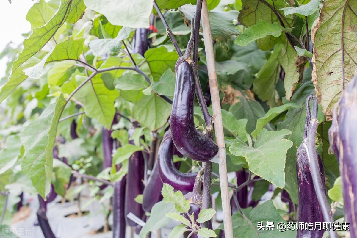 小儿腹泻良方书,治秋季腹泻的良方