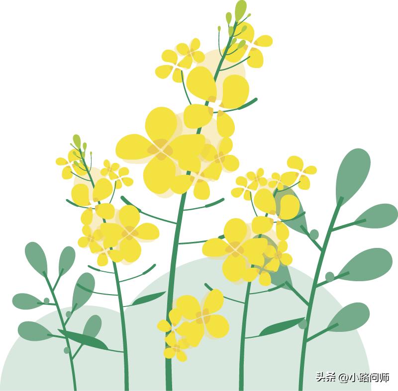 压力性尿漏怎么样能治,压力性尿湿症