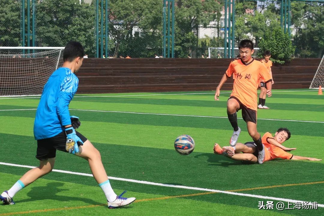 厉兵秣马奋勇向前,厉兵秣马意气风发