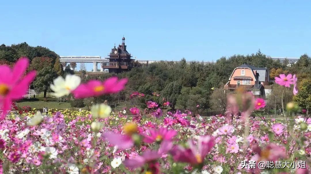 宫崎骏三鹰美术馆完整版,三鹰之森宫崎骏第二弹图鉴