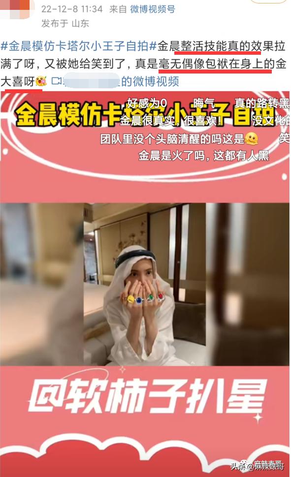 金晨模仿卡塔尔小王子晒照,金晨模仿卡塔尔王子被起诉了吗