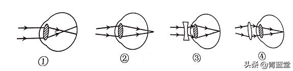 2021年江苏省苏州市初中生物结业考试
