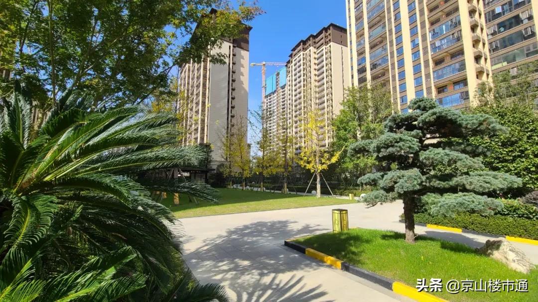 祥生尚京公馆什么街道,2024祥生尚京公馆洋房价格