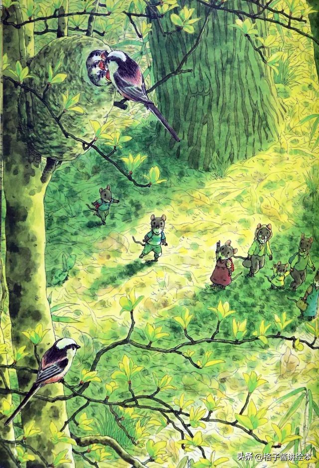 绘本十四只老鼠去春游简介,绘本14只老鼠去春游视频